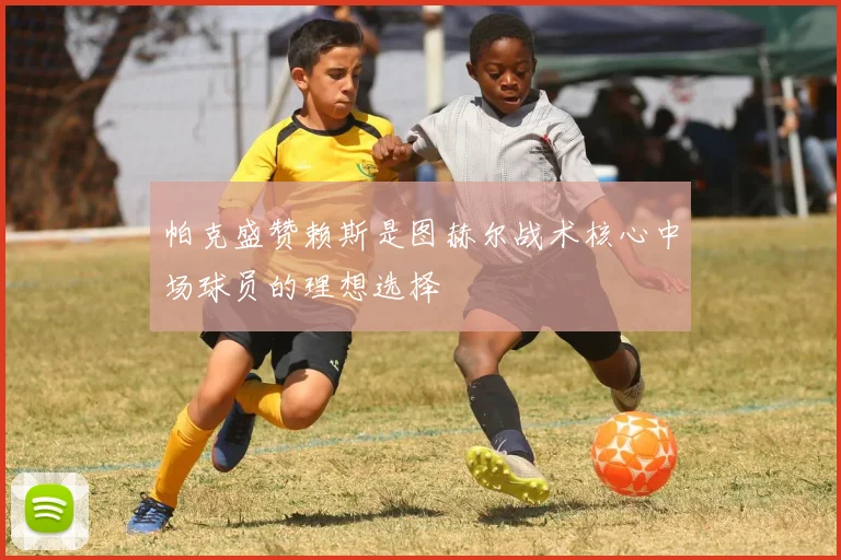 帕克盛赞赖斯是图赫尔战术核心中场球员的理想选择